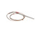 32289 - Blodgett - Probe, Rtd 500Ohm Rt AngLe