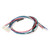 381683 - Mavrik - Wire Harness