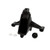 520261 - Globe - Sharpener Bracket Knob