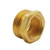 8016829 - Franklin - 1/2" Fipxmht Brass Ada