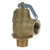 561317 - Mavrik - 3/4" Steam Safety Valve