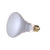 47176 - Gold Medal - 65Watt Coated Reflector