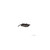 9953240180 - Frigoglass - Thermistor, Ntc, Temperature Probe