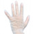 FP-GV1006 - Karat - Small Vinyl Powder Free Disposable Gloves