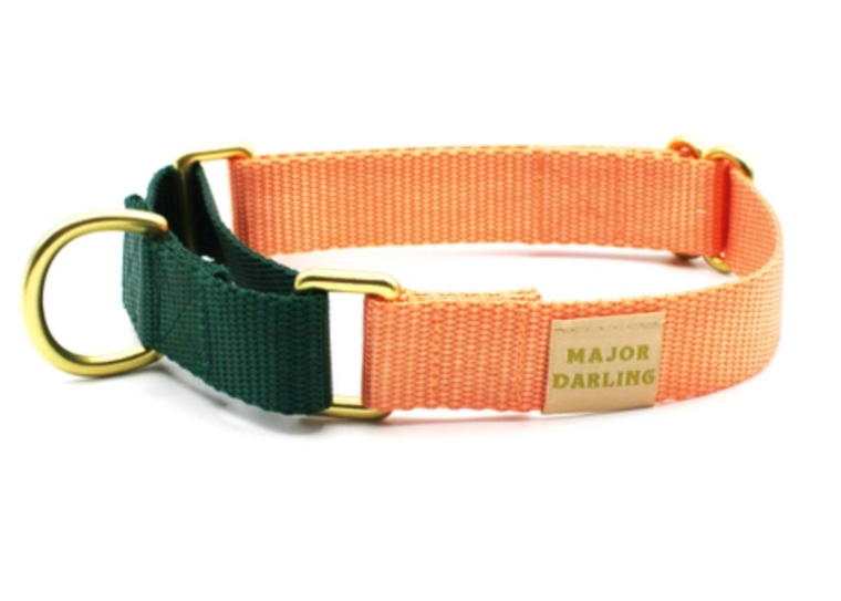 MAJOR DARLING MARTINGALE PEACH/GREEN SMALL