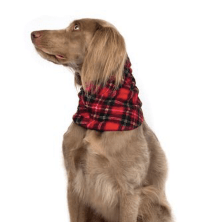 GOLDPAW SNOOD RED PLAID/BLACK MEDIUM