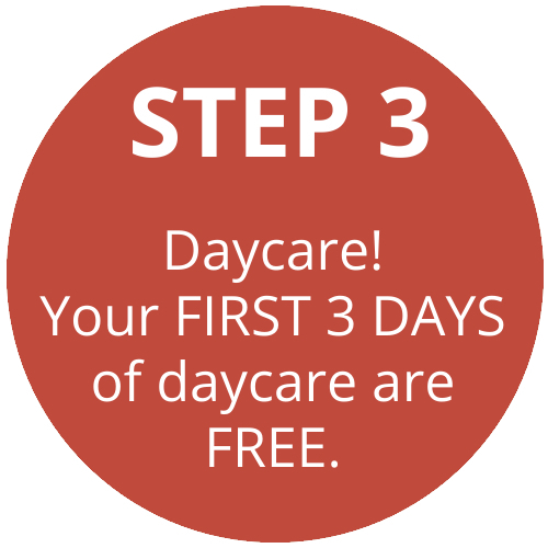 Daycare Step 3