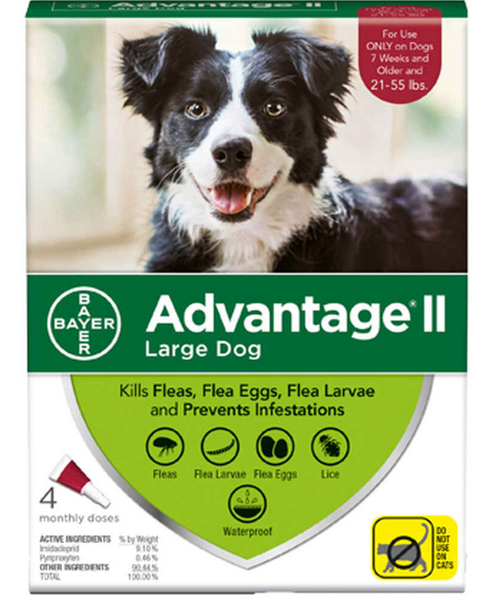 is advantage safe for lactating dogs