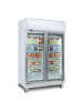 Bromic UF1000LF 976L LED Two Flat Glass Door Display Freezer