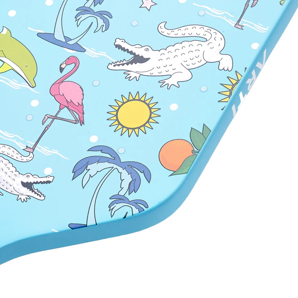 ARTI FLORIDA Pickleball Paddle | Fast, Free Shipping!