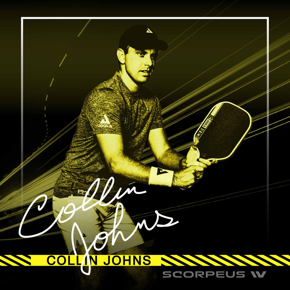 最終値下JOOLA SCORPEUS PRO IVピックルボールパドル　カバー付 JOOLA BEN JOHNS HYPERION PRO IV 16MM ピックルボールパドル