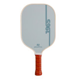 Back view of the Blue Heritage Pickle-ball 'Lines' retro fiberglass pickleball paddle.