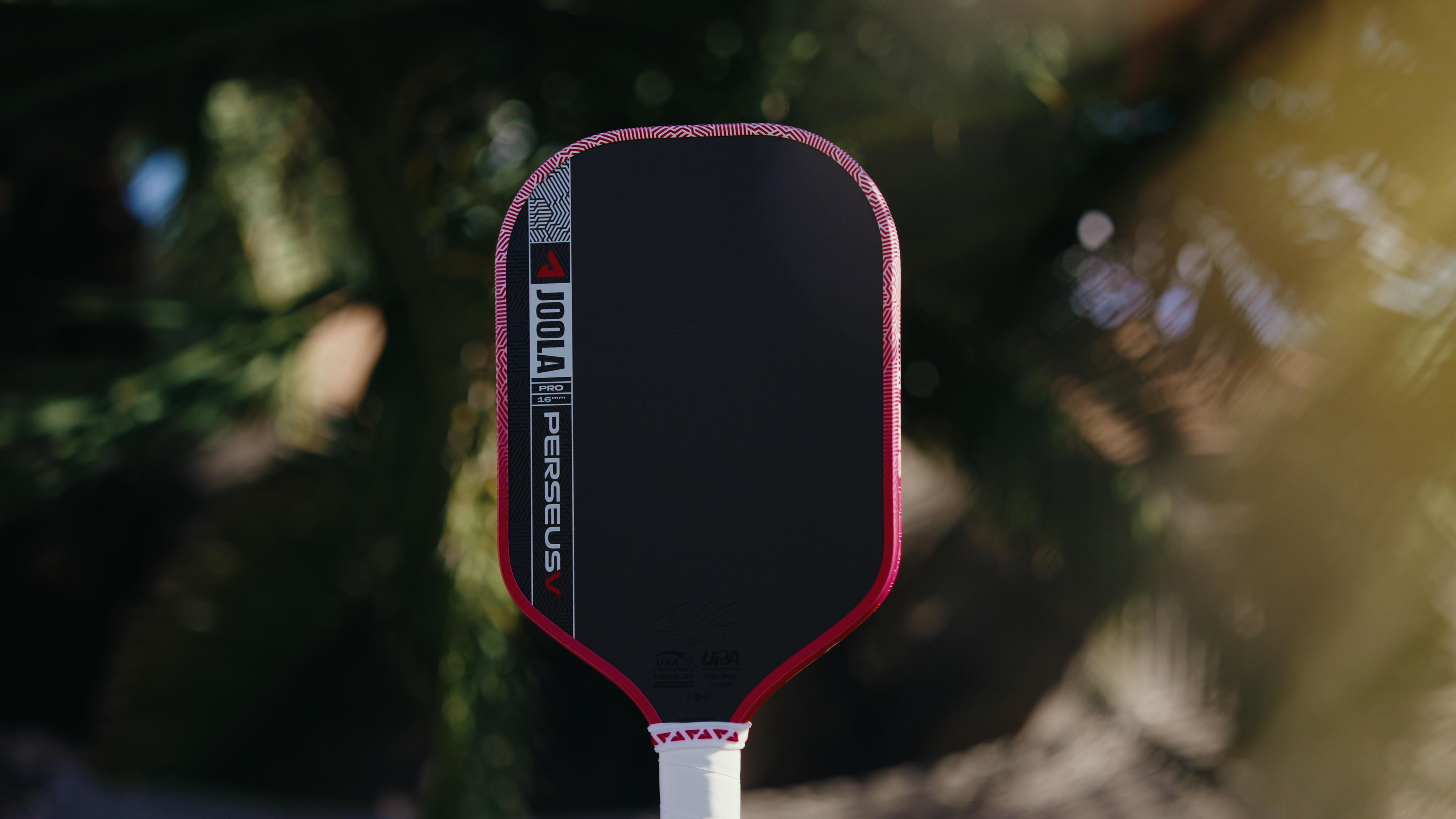 JOOLA Perseus Pro V paddle featured in final thoughts section