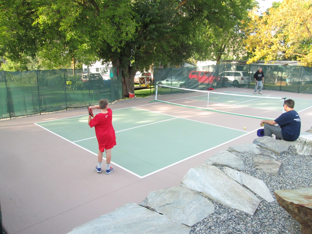 Beautiful Backyard Pickleball Court