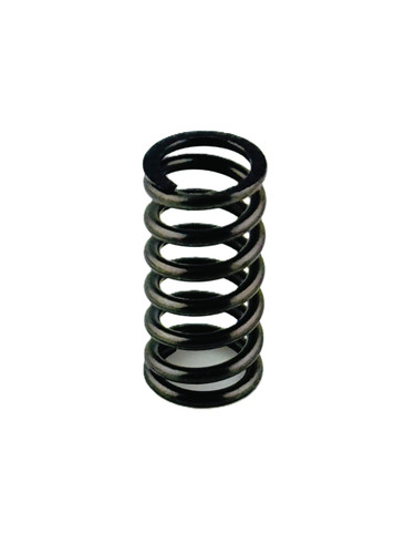 P-29033401321 SPRING