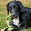 Green and Wilds Frog Dog Toy made from jute 