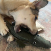 Green and Wilds Crocodile toy for dogs
