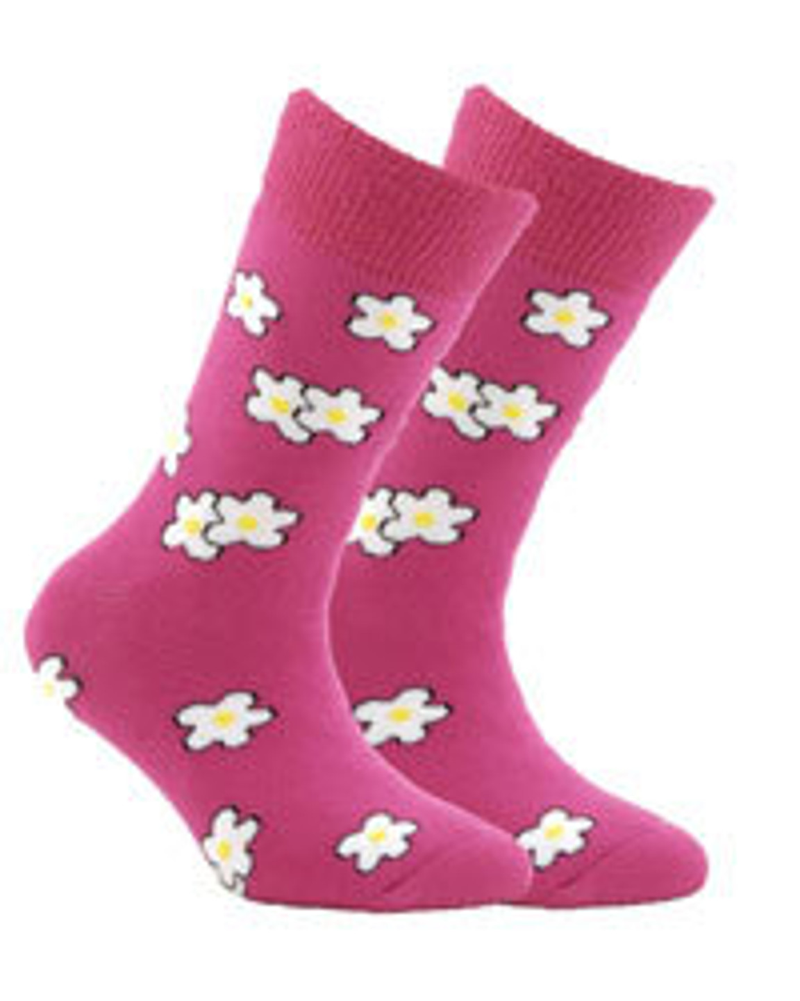 Socks Socks