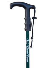 Trekking Pole