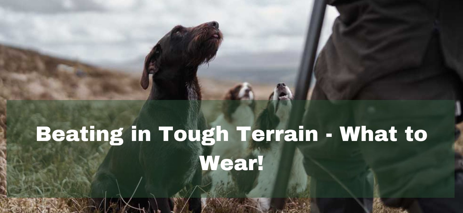 What to wear for pheasant beating