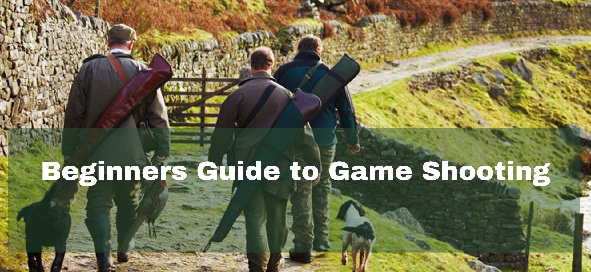 Beginner’s guide to game shooting