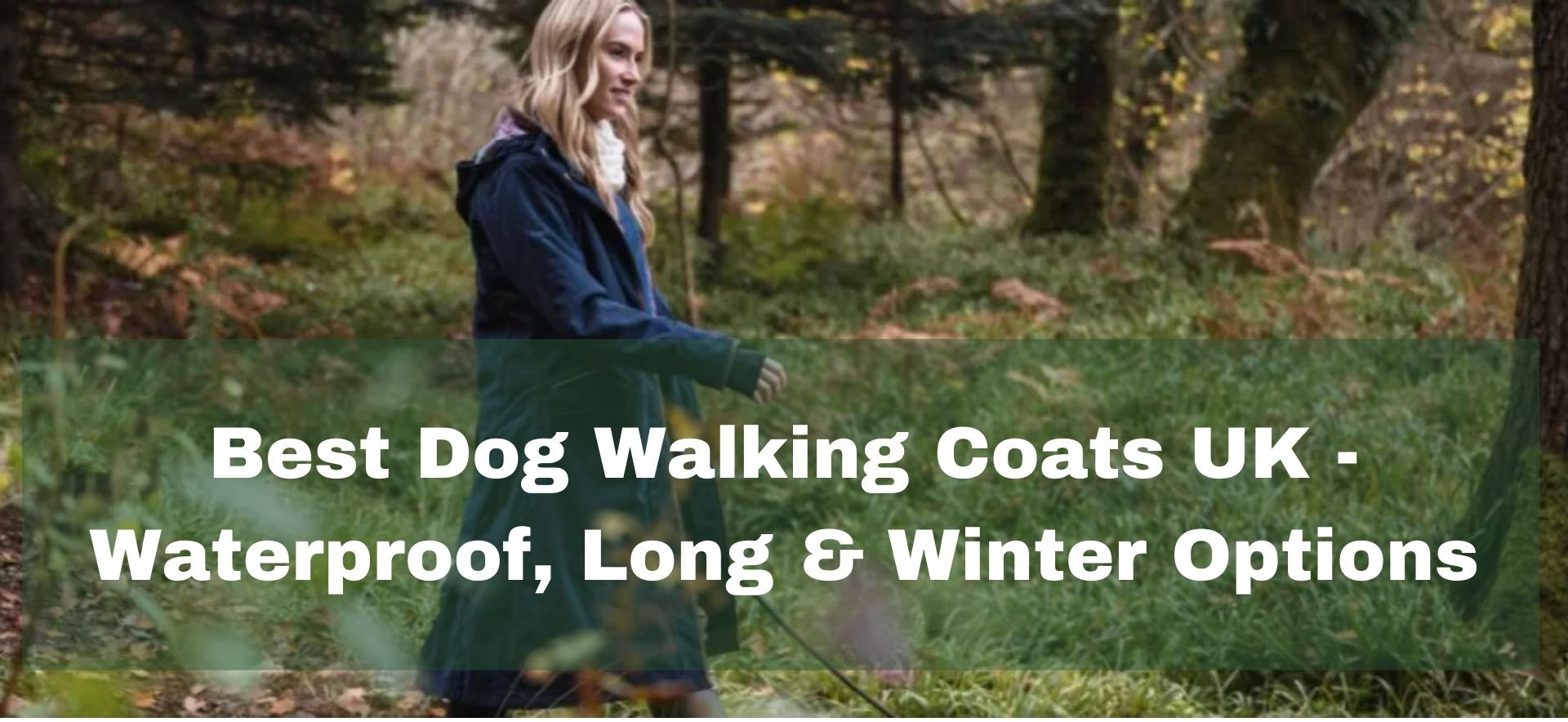 Best dog walking coats for waterproof winter walks in the UK