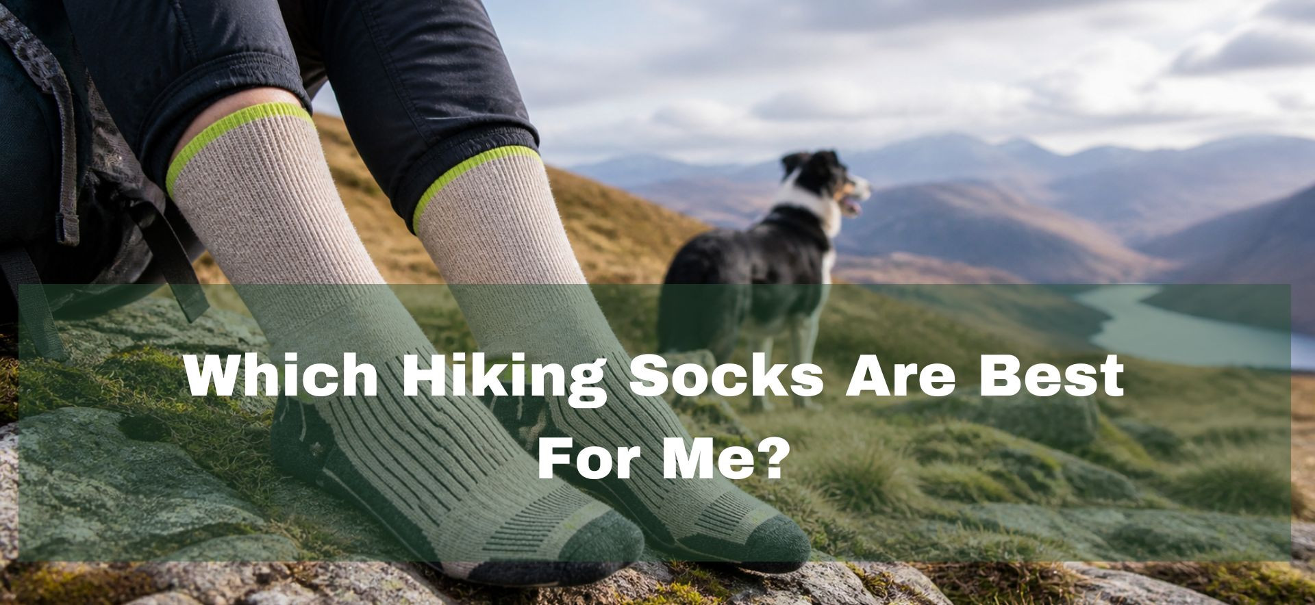 Which hiking socks are best guide