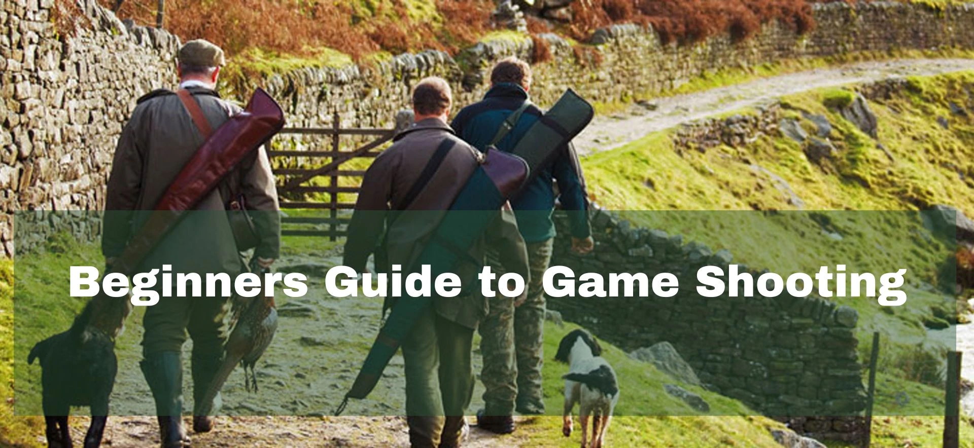 Beginner's guide to game shooting