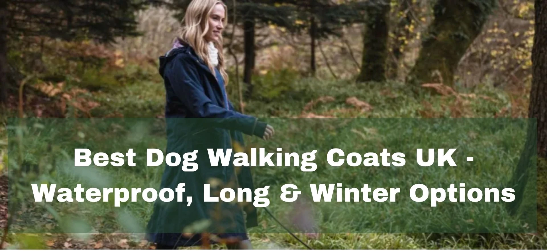 Guide to choosing waterproof dog walking coats for wet UK walks