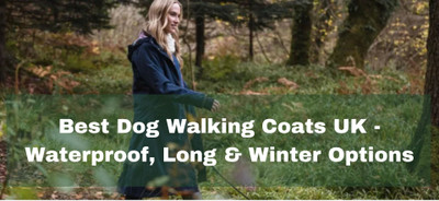 Best Dog Walking Coats UK – Waterproof, Long & Winter Options