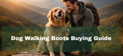 Dog Walking Boots Buying Guide