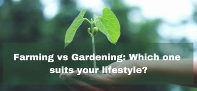 Farming vs Gardening: Which One Suits Your Lifestyle?