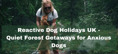 Reactive Dog Holidays UK - Quiet Forest Getaways for Anxious Dogs
