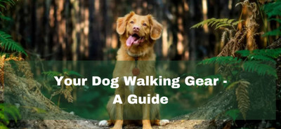 Your dog walking gear - a guide