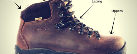 Dog Walking Boots Buying Guide | Advice on What To Wear