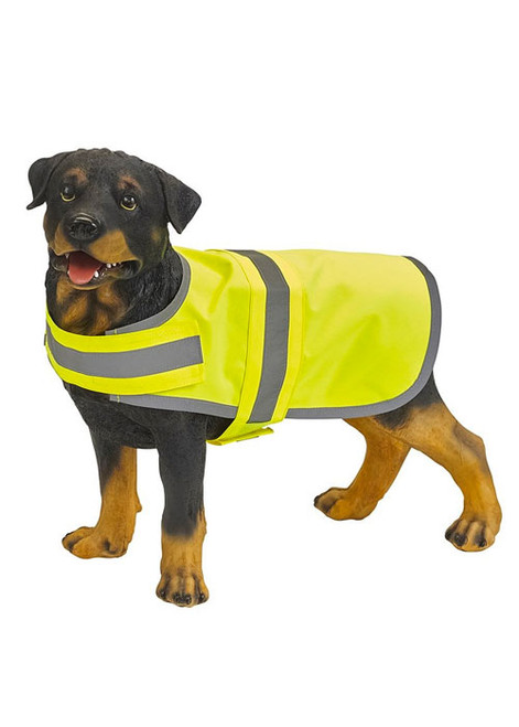 dog walking accessories uk
