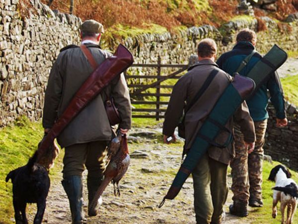 Beating clothing and field essentials