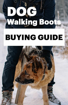 Dog Walking Boots Buying Guide