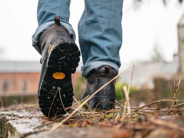 Dog walking boots