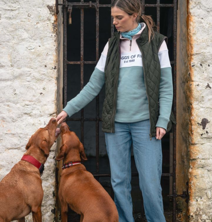 Dog walking clothes
