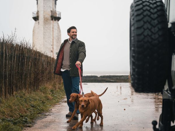 Dog walking coats and jackets