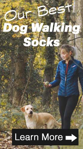 our best dog walking socks