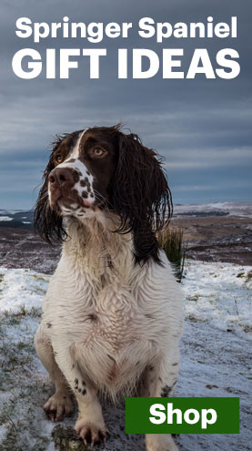 Gift ideas for Springer Spaniel Owners