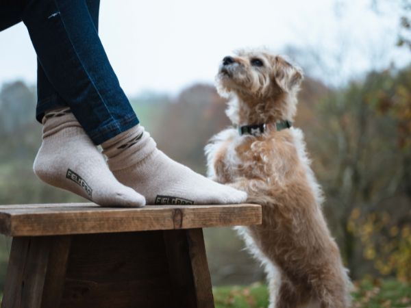 Walking socks