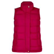 Champion Vermont Padded Gilet