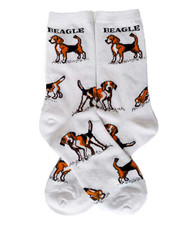 Beagle Socks