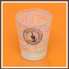 Frosted AZ Passport Stamp Shotglass