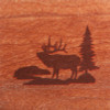 Elk in Woods Coasters - Set of 4