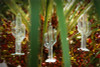 Glass Cactus Ornament - Set of 2