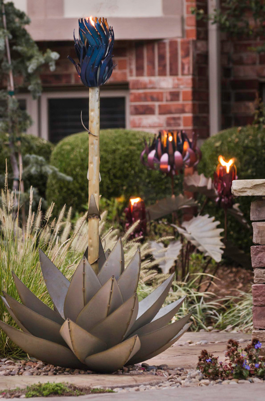 Blue Agave with Torch